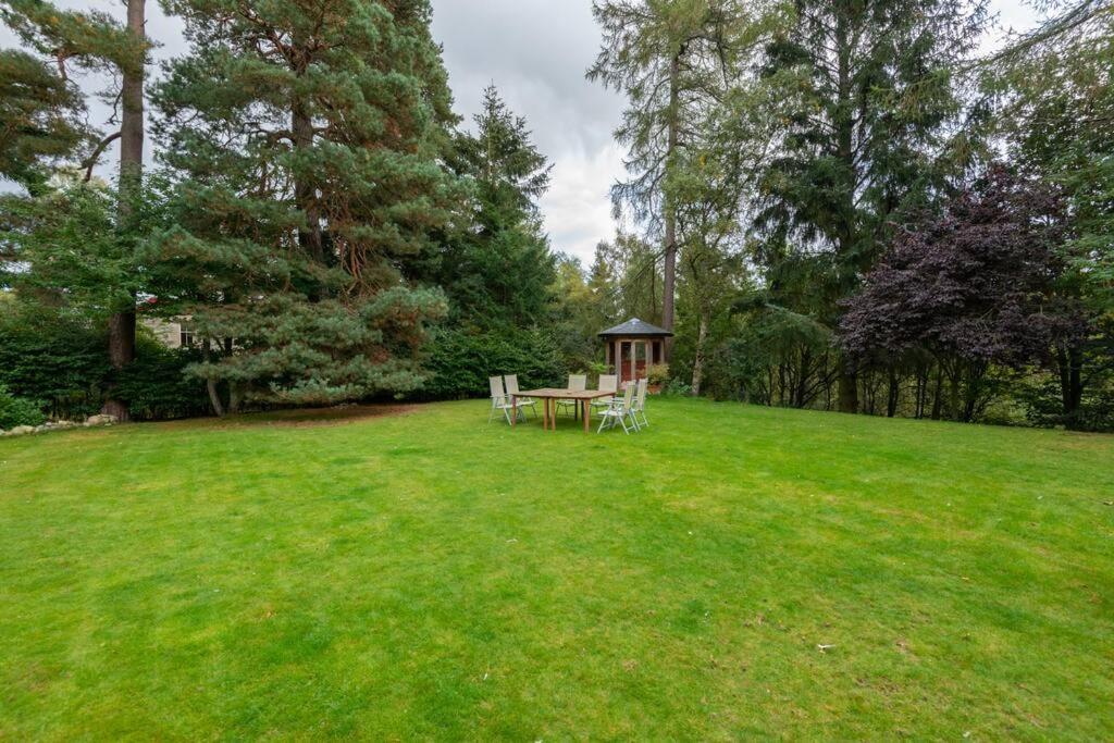 The Beeches Studio, Highlands Of Scotland Newtonmore Exterior foto