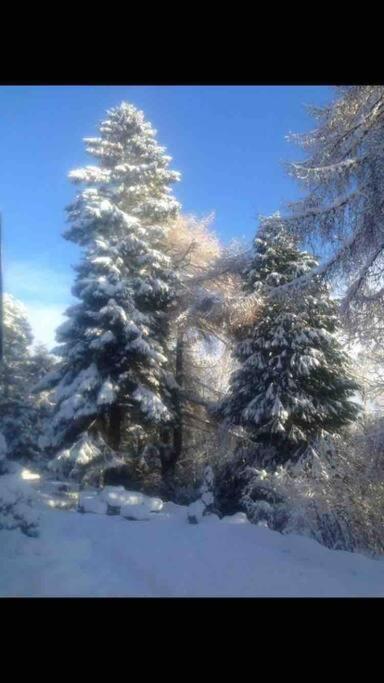 The Beeches Studio, Highlands Of Scotland Newtonmore Exterior foto